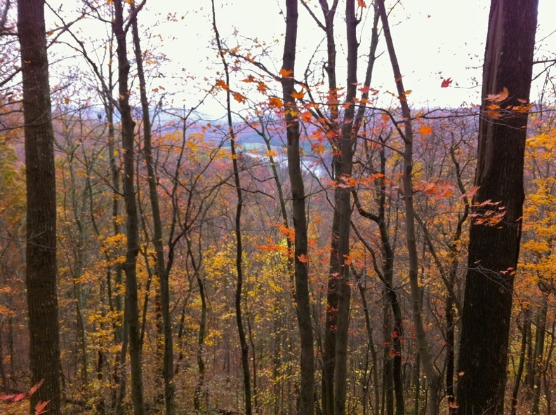 Sheltowee Trace_ Clear Creek Furnace - 01.jpg